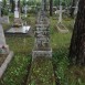 Fotografia przedstawiająca Groby Polaków zamordowanych w czasie II wojny światowej