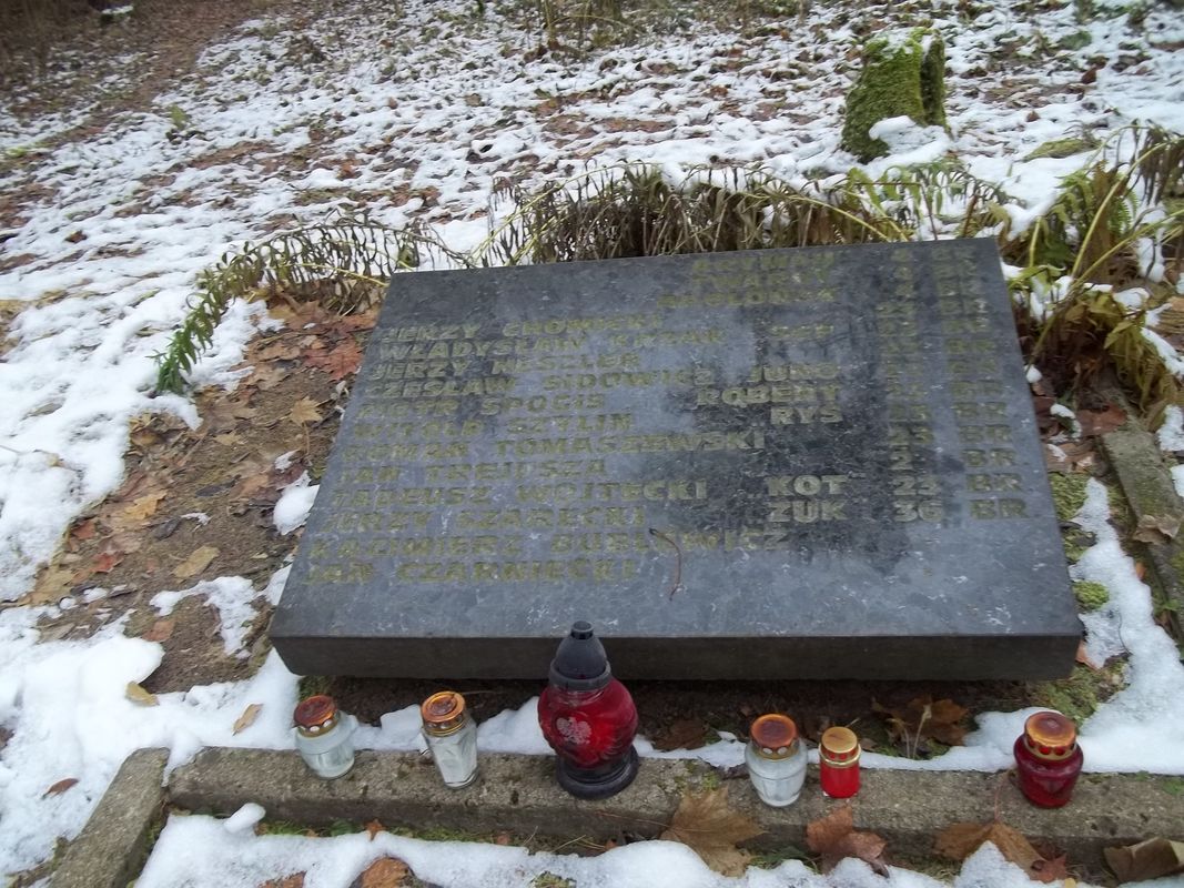 Grave of Home Army soldiers killed near Kravchuny-Novosiolki, partially exhumed