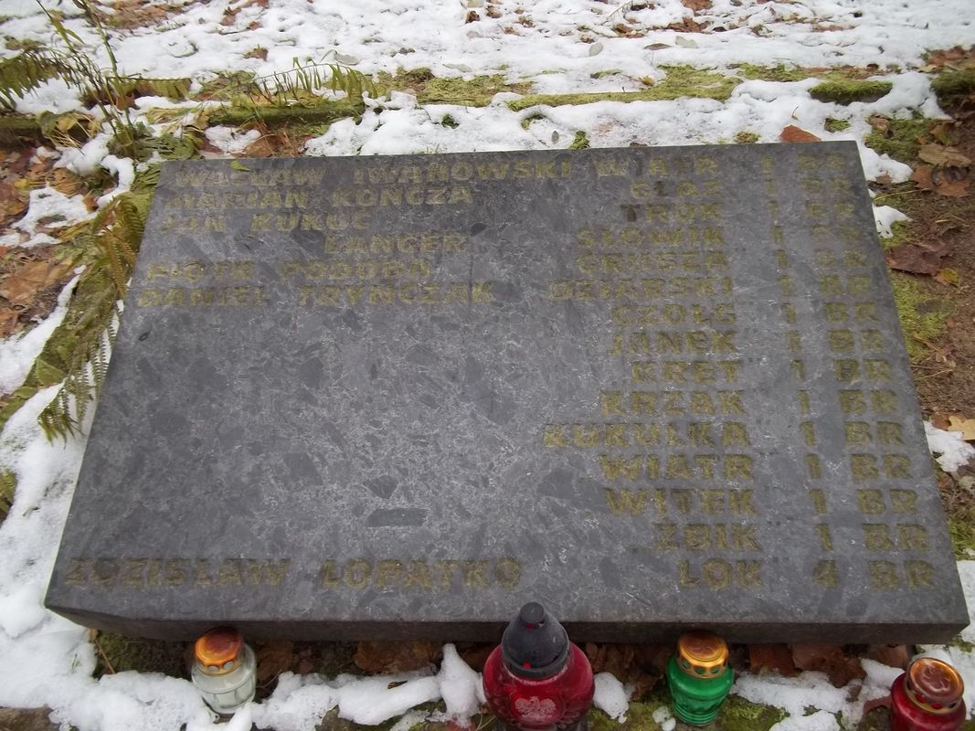 Grave of Home Army soldiers killed near Kravchuny-Novosiolki, partially exhumed