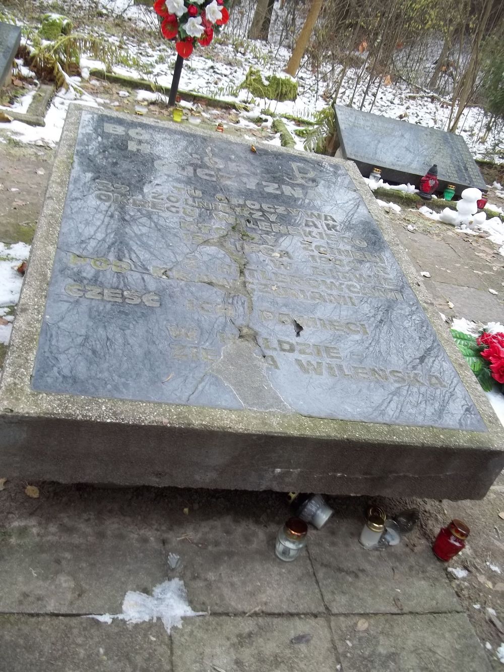 Grave of Home Army soldiers killed near Kravchuny-Novosiolki, partially exhumed