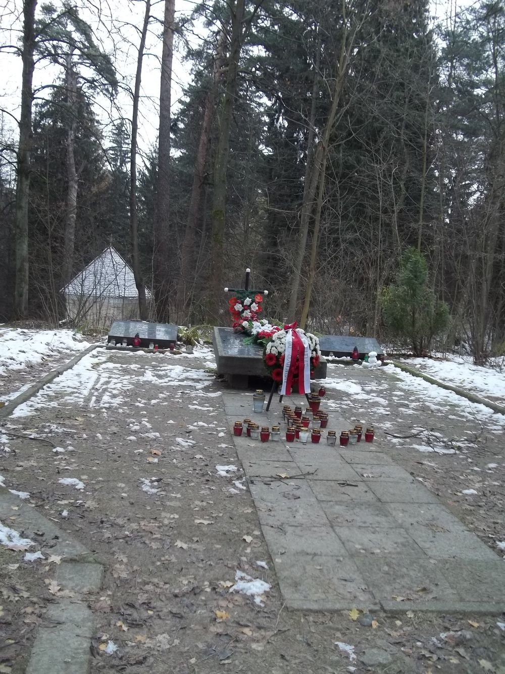 Grób żołnierzy AK poległych pod Krawczunami - Nowosiółkami, częściowo ekshumowany