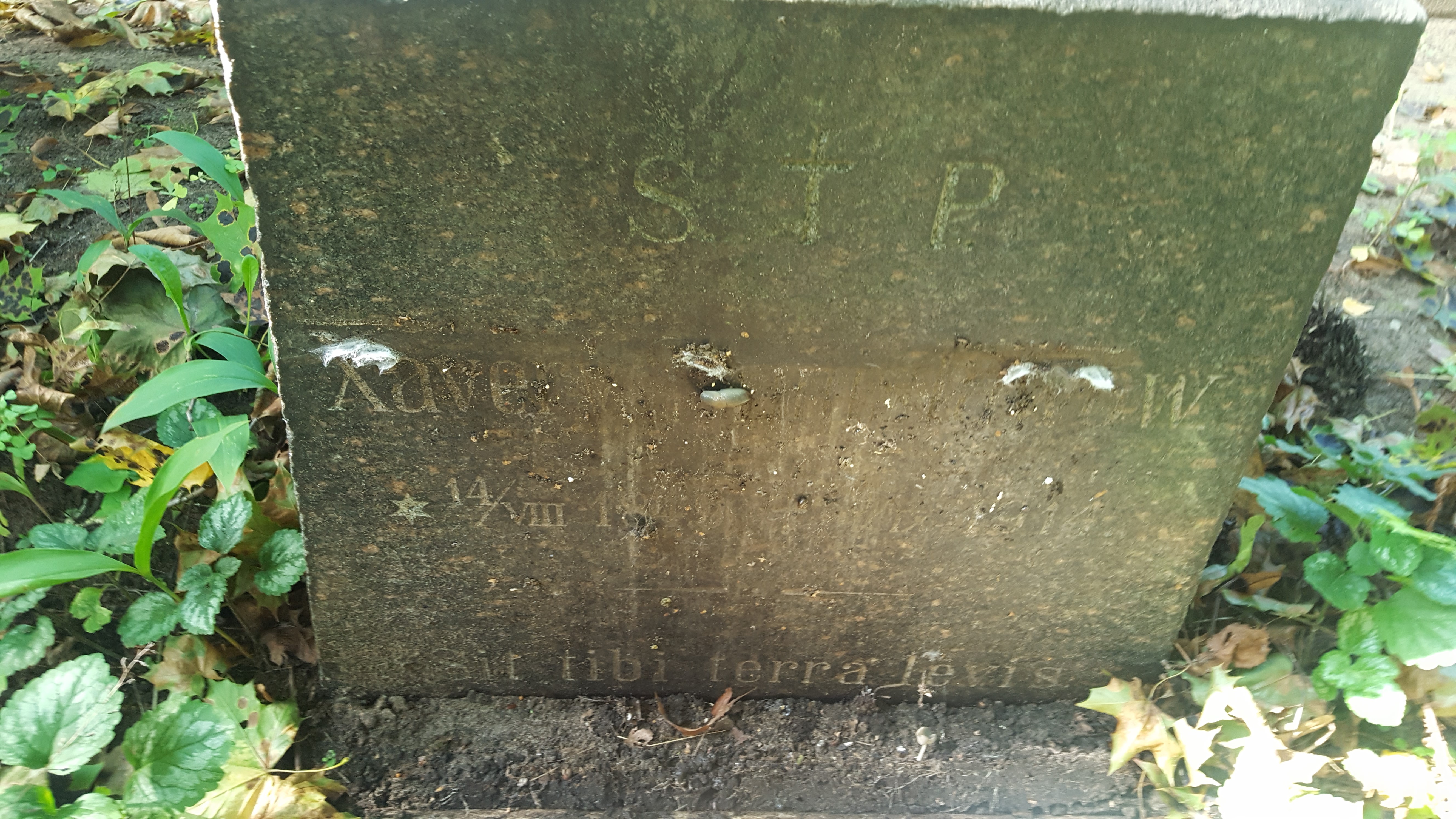 Napis z nagrobka Xawerego Stanisławowa, cmentarz św. Michała w Rydze, stan z 2021 r