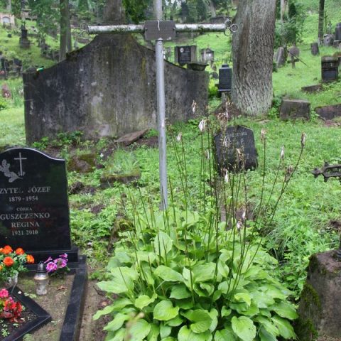 Tombstone of Miroslaw Harasimowicz, Na Rossie cemetery in Vilnius, state 2013