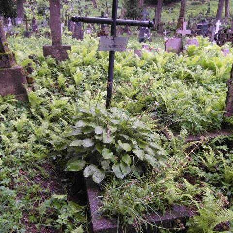 Tombstone of Jozefa Szostak from the Rossa cemetery in Vilnius, as of 2013