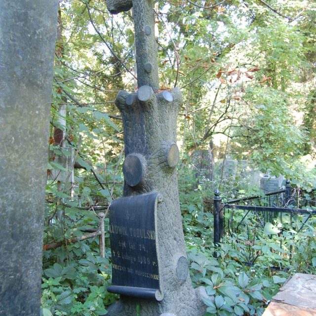 Tombstone of Ludwik Tobulski, as of 2022