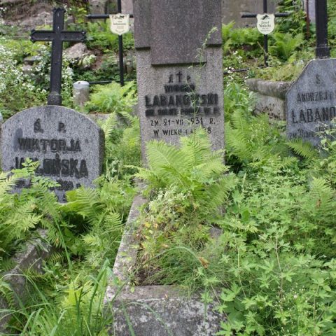 Надгробок Вітаутаса Лабановського на кладовищі Росса у Вільнюсі, станом на 2013 рік