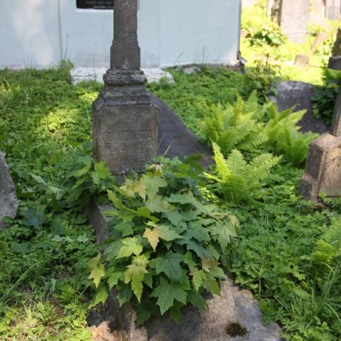 Tombstone of Jadwiga Grudzinska, Na Rossie cemetery in Vilnius, as of 2013