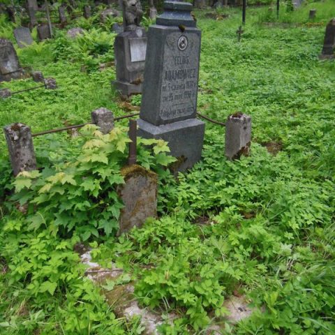 Nagrobek Feliksa Adamowicza, cmentarz Na Rossie w Wilnie, stan z 2013