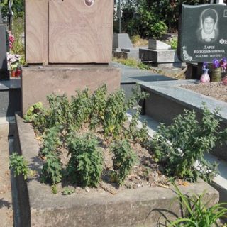 Tombstone of Mieczyslaw Zenzer, Ternopil cemetery, state of 2016