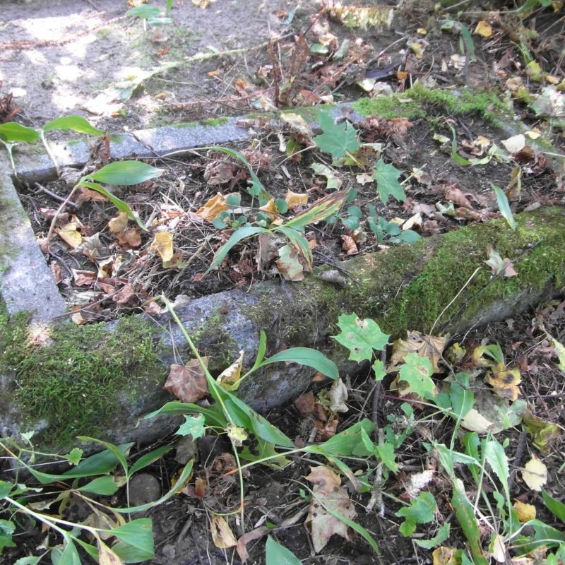 Tombstone of Nikodem Plocin, St Michael's cemetery in Riga, as of 2021.