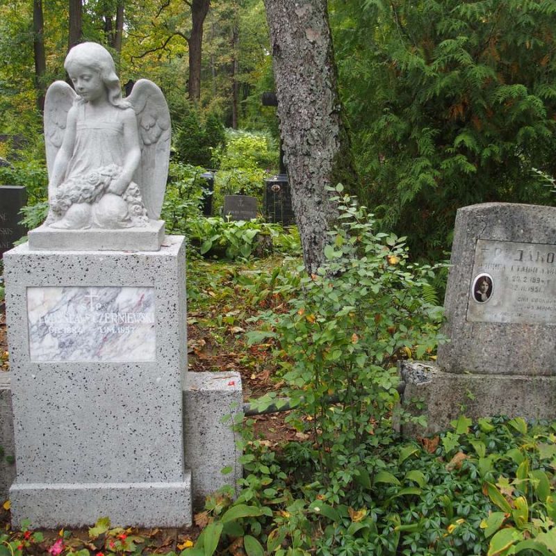 Tombstone of Wladyslaw Czerniewski