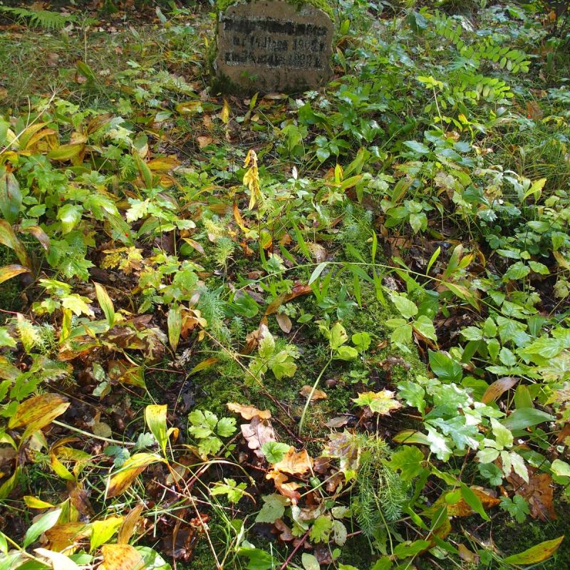 Nagrobek Marii Wołodkowicz
