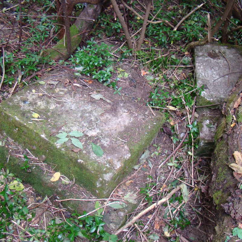 Nagrobek Karola Sucheckiego, cmentarz w Puźnikach, stan z roku 2008
