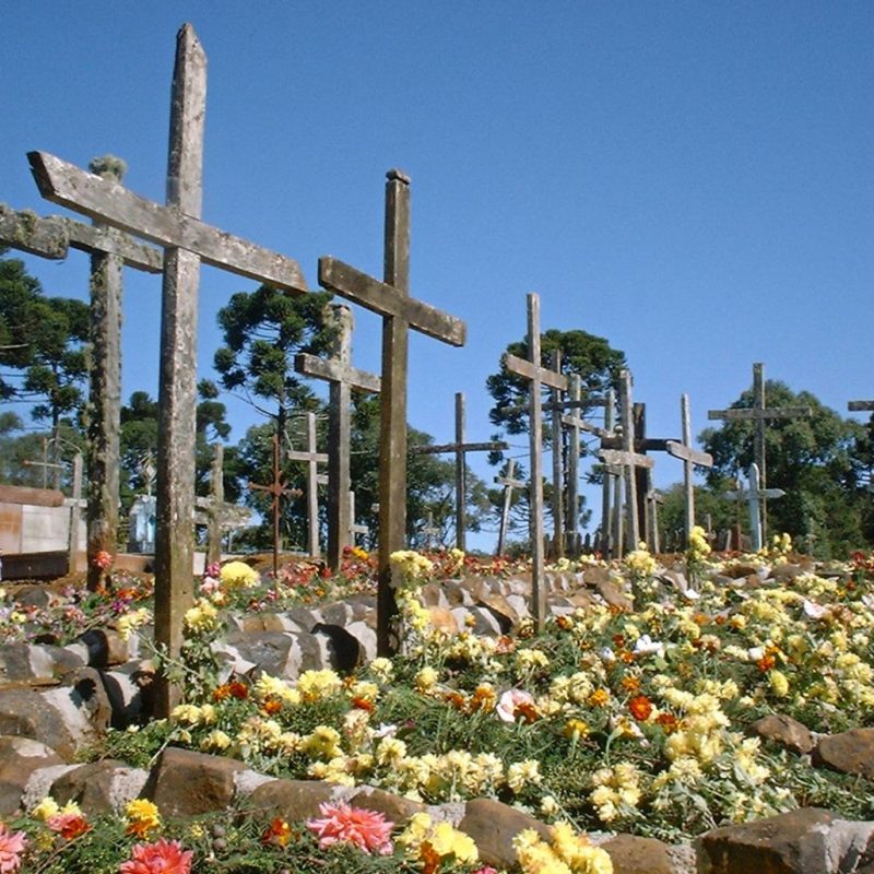 The epidemic cemetery for Polish emigrants in Pátio Velho