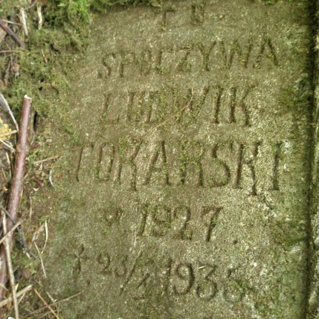 Nagrobek Ludwika Tokarskiego w Puźnikach