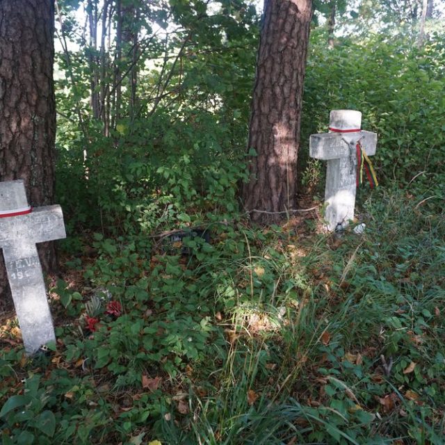 Могили солдатів Армії Крайової, загиблих у липні 1944 року.