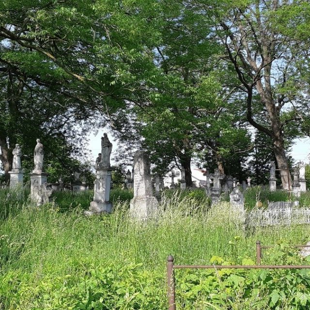 Zbarazh cemetery before the works were carried out