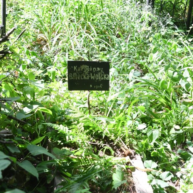 Tombe marquée par une bordure en béton avec une plaque secondaire à la tête, portant l'inscription peinte 'Karolina Bielecka-Wolska 1914'. Entourée de végétation dense.
