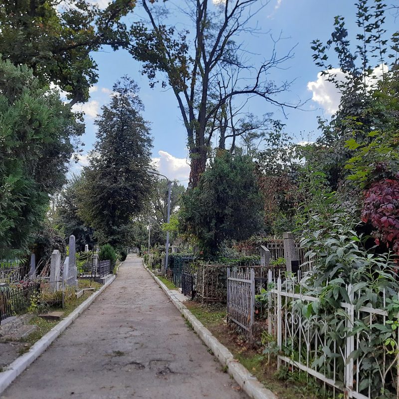 Pathway through a cemetery in Chișinău, lined with trees and gravestones on both sides. The area is lush with greenery and surrounded by iron fences.