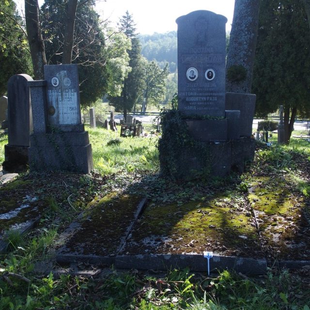 Tombe de la famille Gabzoyl avec une stèle sur un socle et une base, comportant des inscriptions gravées et deux médaillons. La dalle funéraire est couverte de mousse, entourée d'arbres.