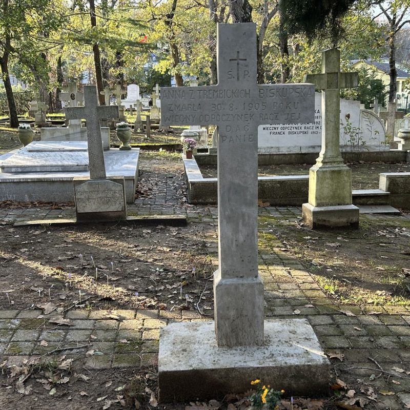 Tombstone of Anna née Trembicka Biskupska, Catholic cemetery in Adampol