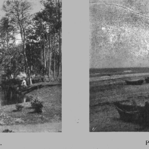 Dwie czarno-białe fotografie Połągi. Lewa: park z stawem i łabędziami, otoczony drzewami. Prawa: przystań rybacka z łodziami na piaszczystym brzegu.