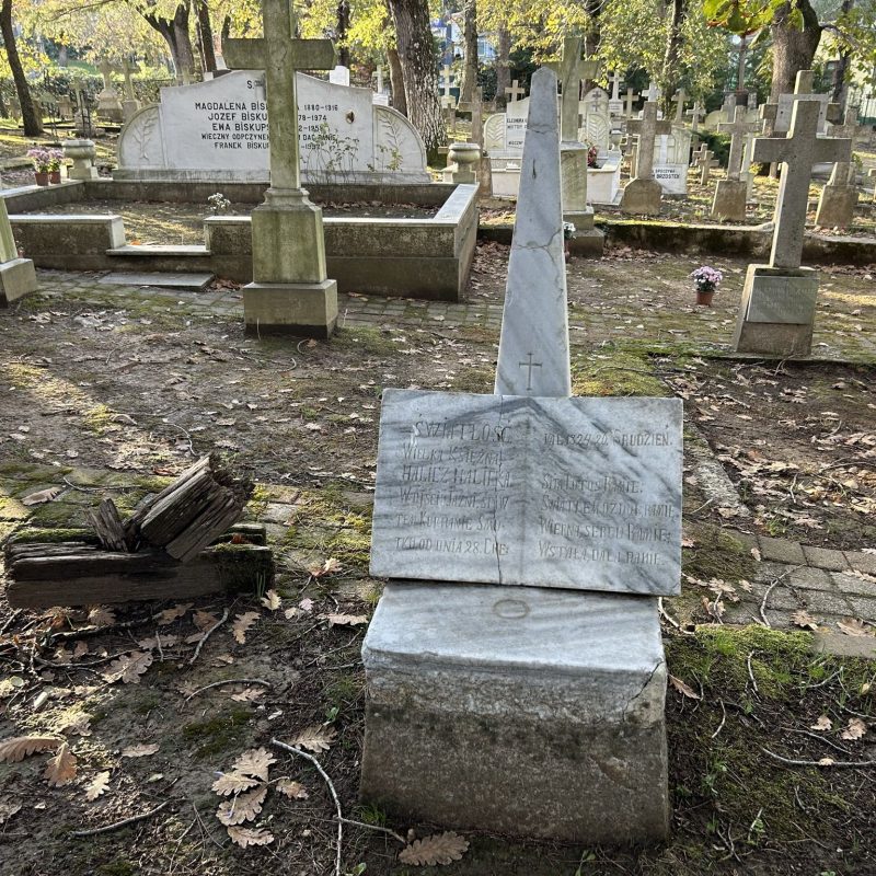 Tombstone of Duchess Anna Maria Tekla Halicka, Catholic cemetery in Adampol
