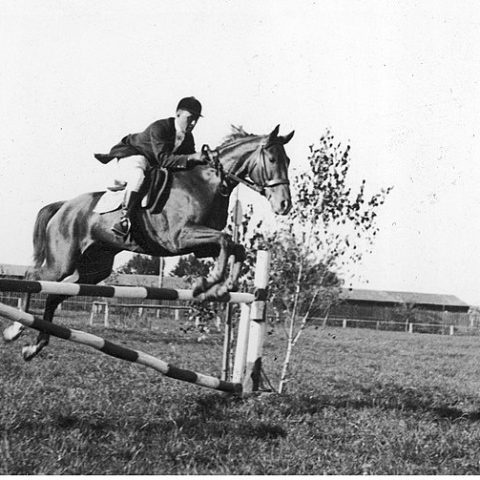Un cavalier en tenue d'équitation franchit un obstacle à cheval dans un champ. On aperçoit des arbres et un bâtiment à l'arrière-plan.