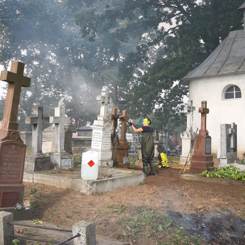 A person cleans a gravestone in a cemetery with several tombstones and a small chapel surrounded by trees. The area is being maintained as part of a project to preserve Polish cultural heritage abroad.
