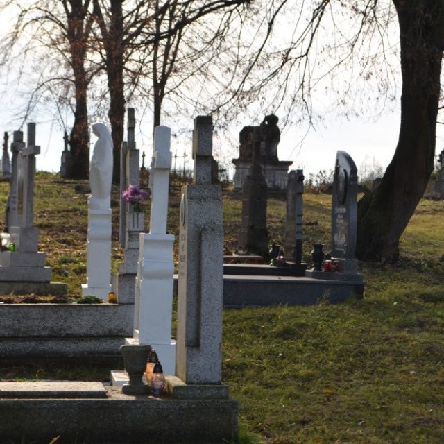 Nagrobki na wiejskim cmentarzu w Bełzie, otoczone trawą i drzewami. Niektóre nagrobki mają krzyże i figury. Cmentarz jest częścią projektu porządkowania i ochrony polskiego dziedzictwa.