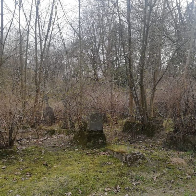 Overgrown graves with simple headstones surrounded by leafless trees and bushes on the New Rossa Cemetery in Vilnius.