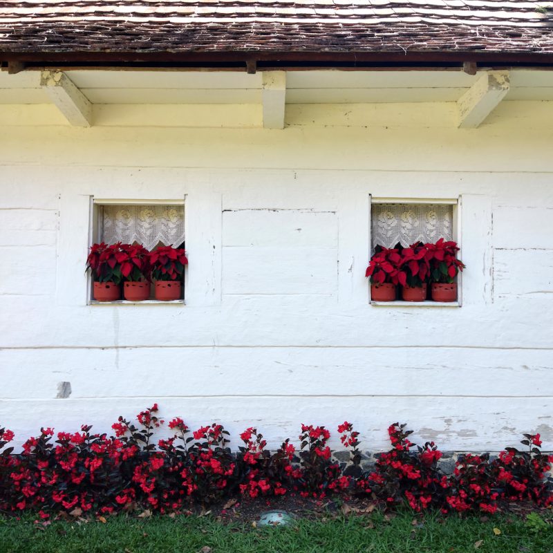 Facade of a traditional Polish wooden house in Curitiba's John Paul II Park, featuring two windows with red potted plants and a row of red flowers below.