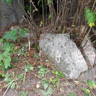 Надгробок Юліуша Ж[...]пінського на кладовищі На Россіє у Вільнюсі, станом на 2013 рік