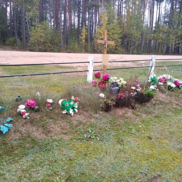 Provisional graves of 16 Home Army soldiers with wooden crosses and metal plaques, surrounded by artificial flowers, located near a forested area.
