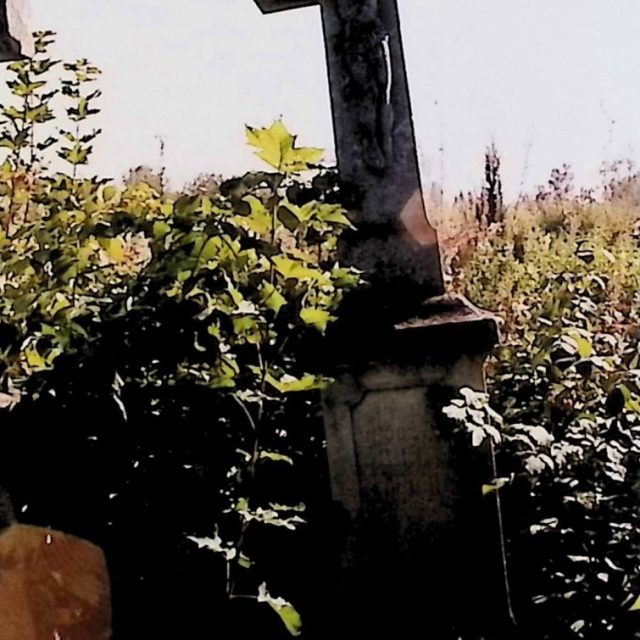Pierre tombale avec une croix sur un piédestal à deux niveaux, avec un relief du Christ à l'intersection des bras, entourée de végétation envahissante.