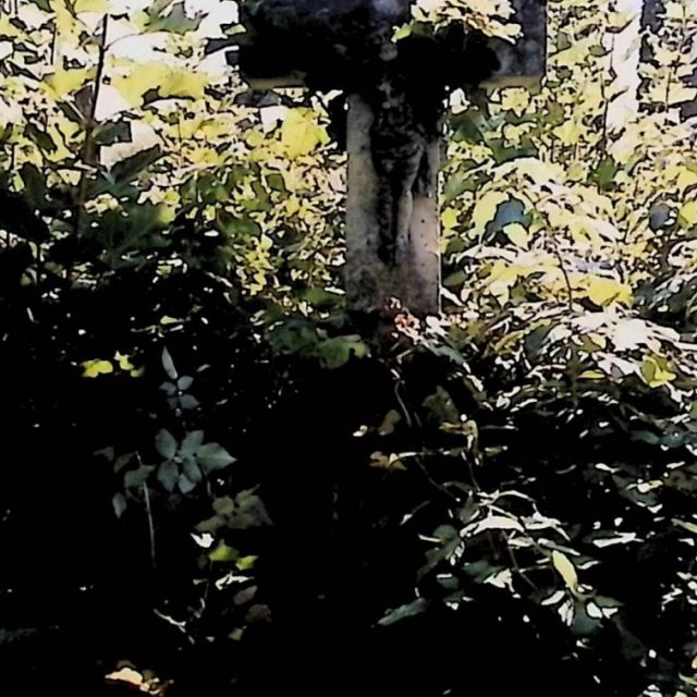 Nagrobek Magdaleny Kindybaluk z krzyżem na dwustopniowym cokole, otoczony gęstą roślinnością. Krzyż z reliefem Chrystusa i titulus powyżej.
