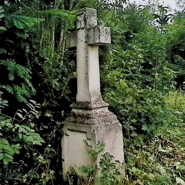 Nagrobek Anny i Antoniego Jasińskich z krzyżem na cokole otoczony gęstą roślinnością. Krzyż ma płaskorzeźbiony titulus, a cokół zawiera rytowane inskrypcje.