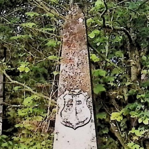 Obelisk oznaczający grób Franciszka i Lubomiły Babiczów, z tarczą herbową z krzyżem. Otoczony gęstą zielenią.