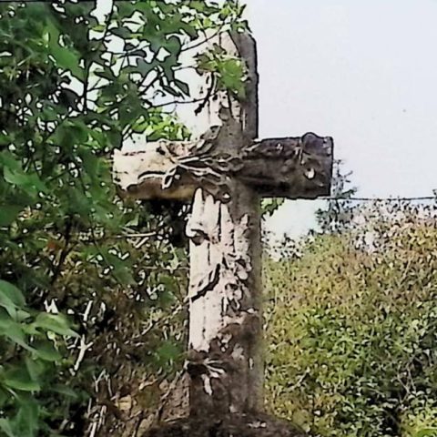 Stone cross styled as a tree trunk with oak leaf carvings on arms, surrounded by greenery.