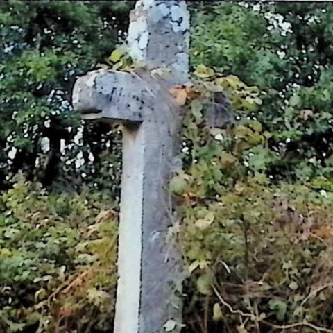 Кам'яний хрест із плоскими набалдашниками на кінцях, оточений рослинністю. Хрест є частиною надгробка Леона Богечука.