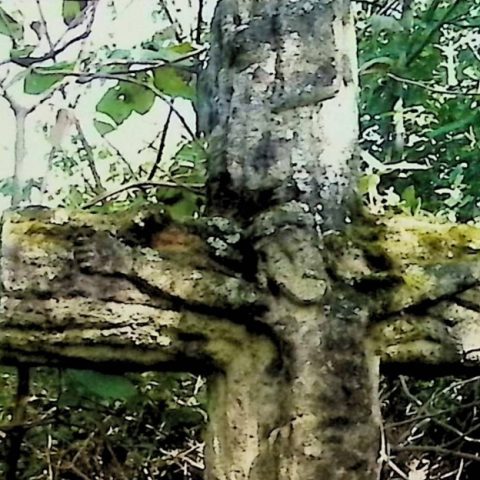 Krzyż stylizowany na pień drzewa z reliefem Chrystusa na przecięciu ramion, otoczony zielenią.