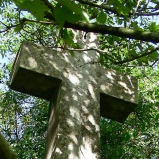 Kamienny krzyż na dwustopniowym cokole otoczony drzewami. Krzyż szerszy u podstawy, z profilowanym cokołem. Promienie słońca prześwitują przez liście, rzucając cienie na krzyż.