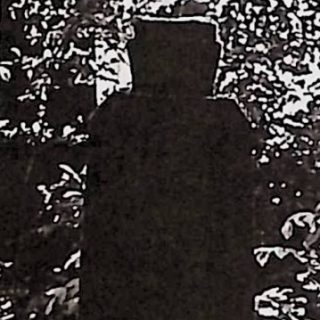 Силует надгробка з відсутнім хрестом, оточений густим листям. П'єдестал звужується вгору з арковою панеллю напису.