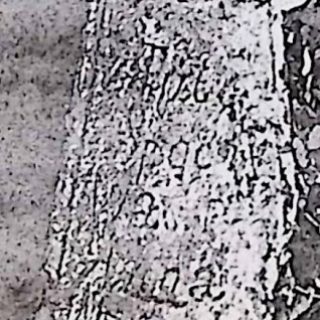 Fragment of a cross with a trefoil end and rosette decoration, featuring an inscription on the wider lower part. The cross is partially covered by foliage.
