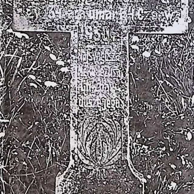 Pierre tombale de Zygmunt Kulczycki en forme de croix latine avec des inscriptions sur les bras et un motif floral en dessous.