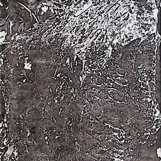 Heavily damaged tombstone with inscriptions on the north and east sides, surrounded by foliage.