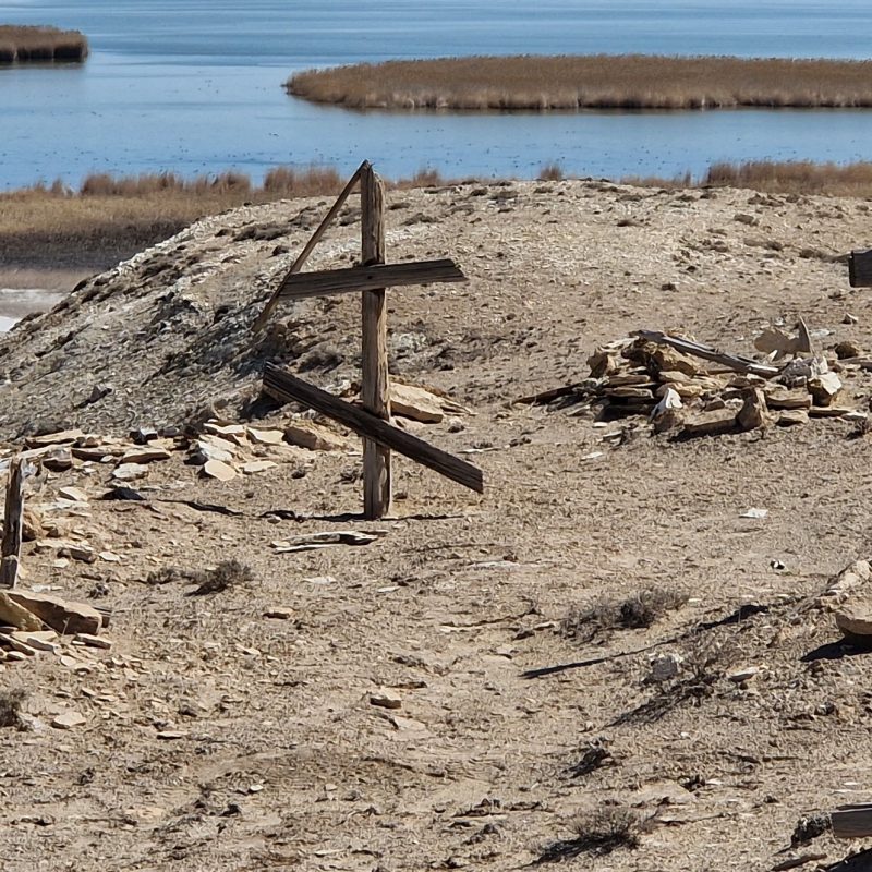 Polish cemetery in Moʻynoq with wooden crosses on sandy ground near Qarateren Koli lake. Sparse vegetation and water in the background.