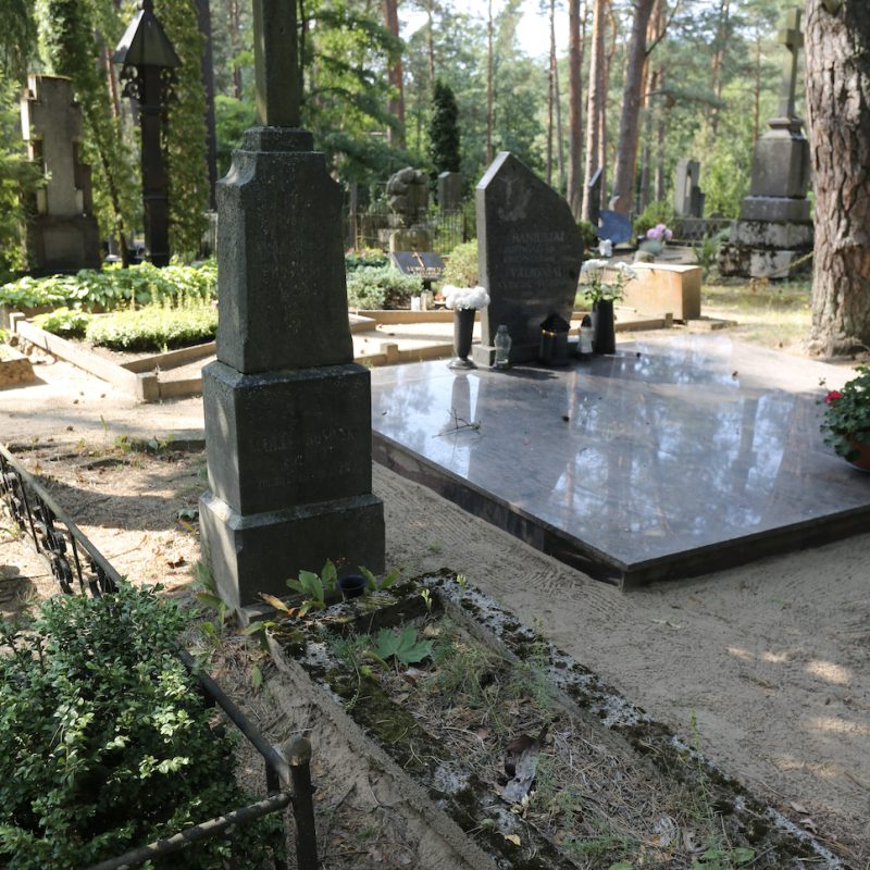 Szary granitowy krzyż na trzystopniowym cokole z nowszym betonowym obramowaniem w polu grobowym. Otoczony drzewami i innymi grobami.