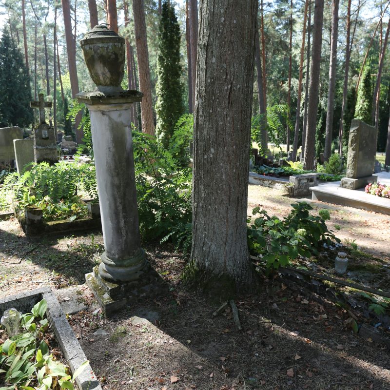 Une colonne en pierre avec une base et un chapiteau surmonté d'une urne se tient à côté d'un arbre dans un cimetière. La tombe est non marquée, entourée de verdure et d'autres pierres tombales.