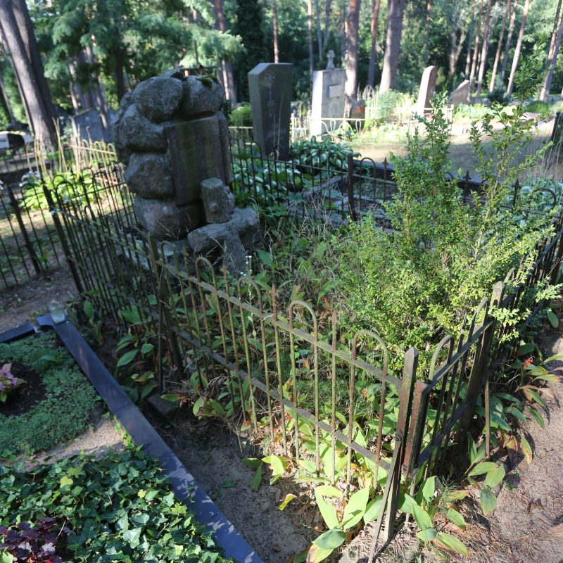 Tombe de Romuald Panasewicz avec un socle en granit rose ressemblant à des rochers et une croix en forme de tronc d'arbre avec un sommet cassé. La tombe est entourée d'une clôture en fer et couverte de verdure.